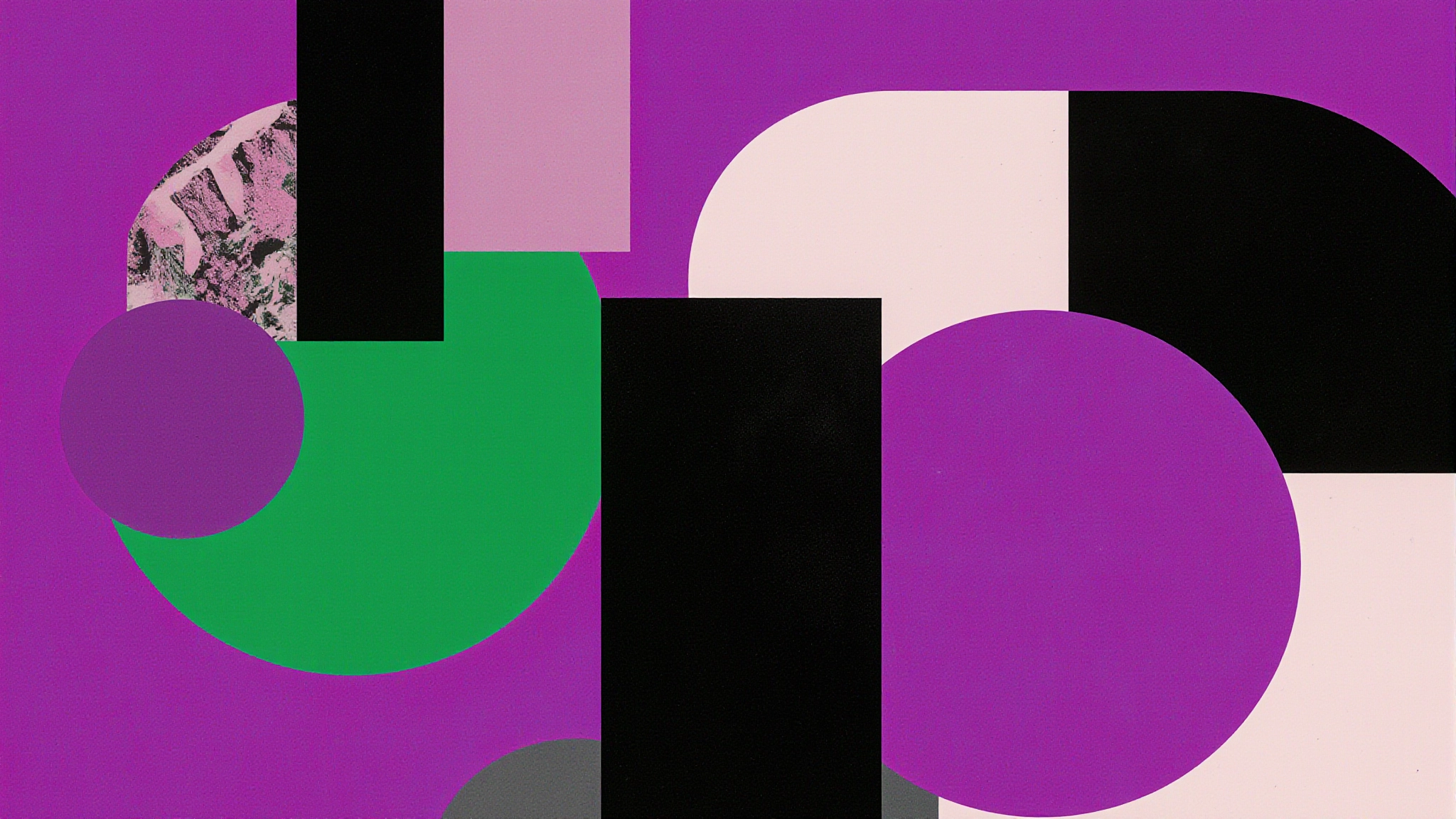 A lush sunlit patch of grass full of flowers in a dense forest