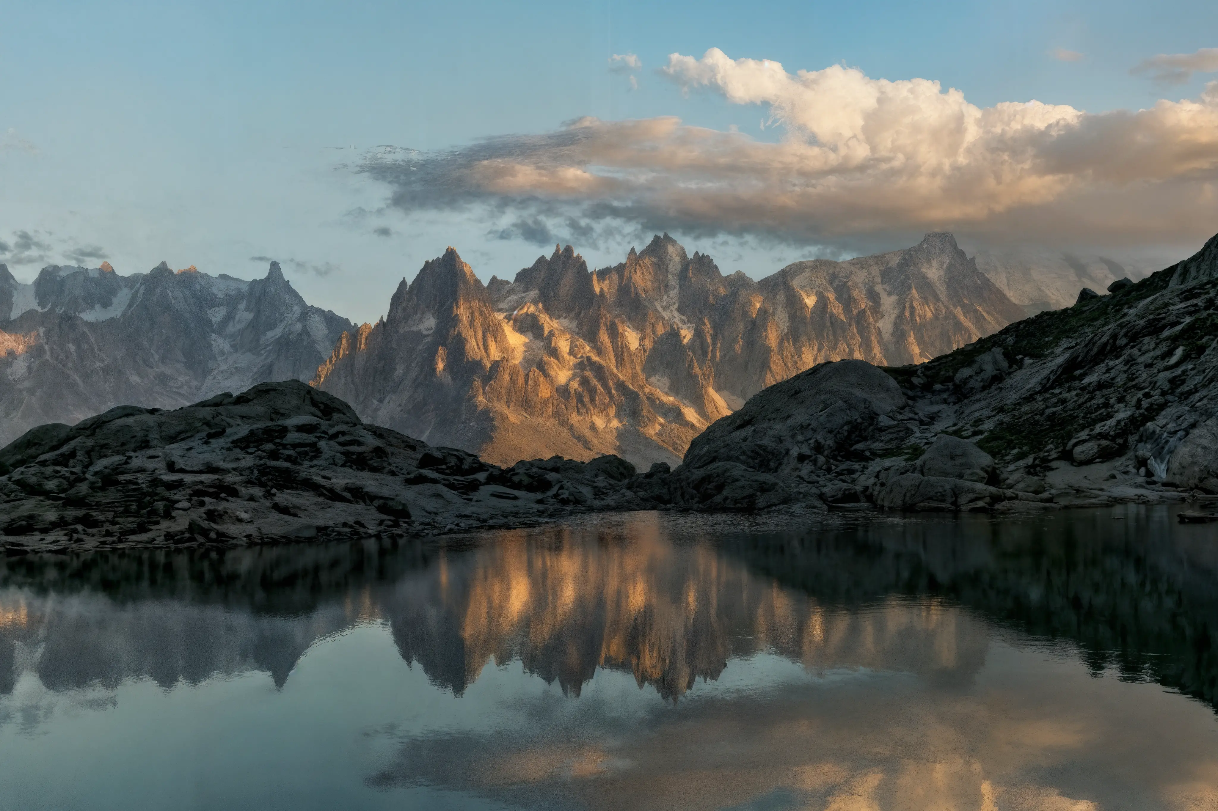 A pixelated image of an orange and white cat lying down, looking to the side, with blurred greenery in the background